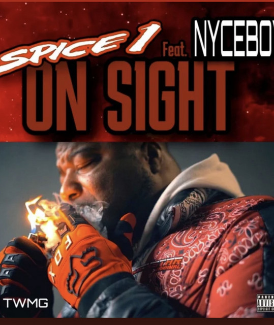 SPICE-1